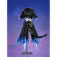 Honkai Star Rail Silver Wolf LV.999 Cosplay Costume