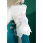 Honkai Star Rail Ruan Mei Plumblossom Letter Skin Cosplay Costume Ver.2