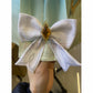 Honkai Star Rail Firefly Cosplay Costume