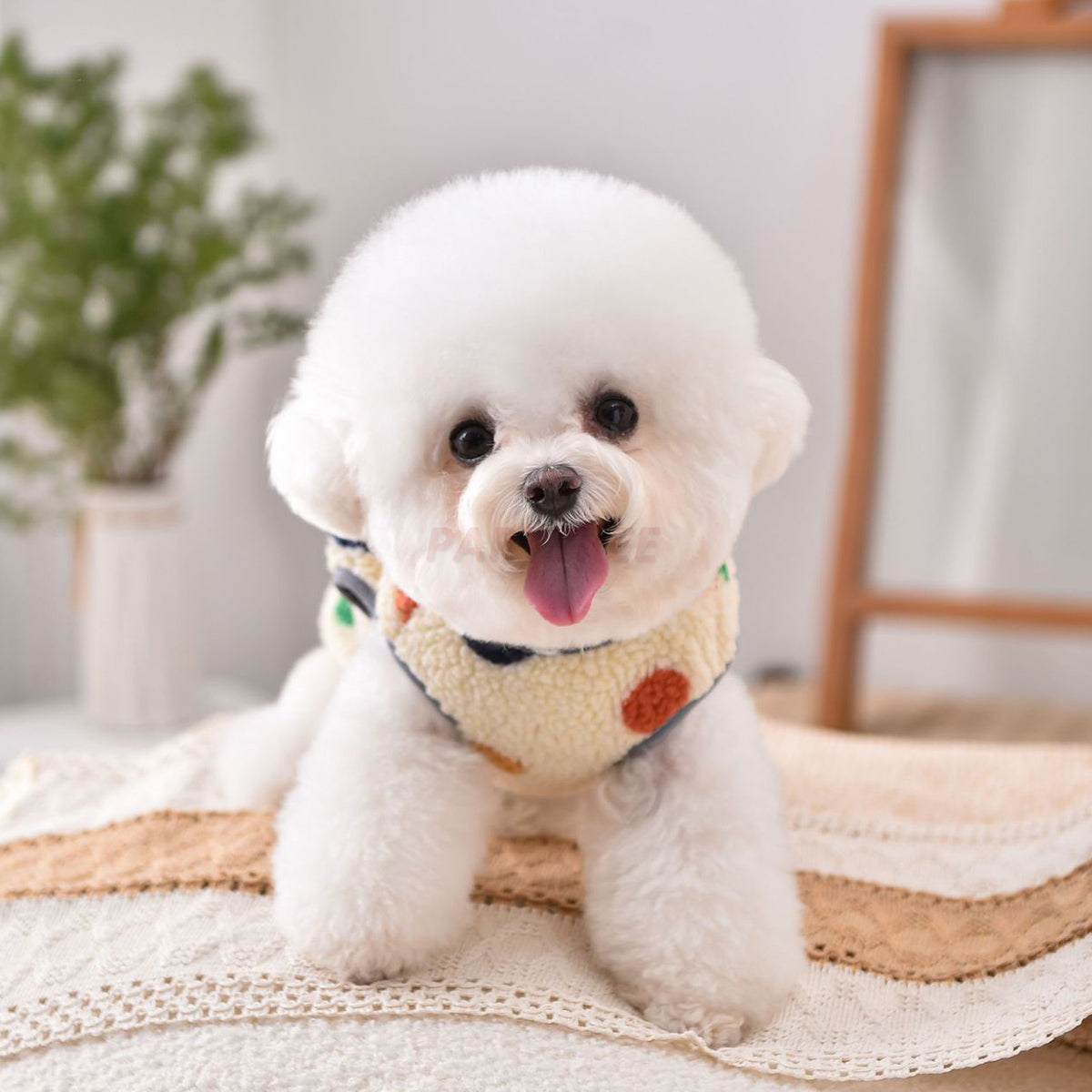 Dog Vest Warm Outfit With Polka Dots