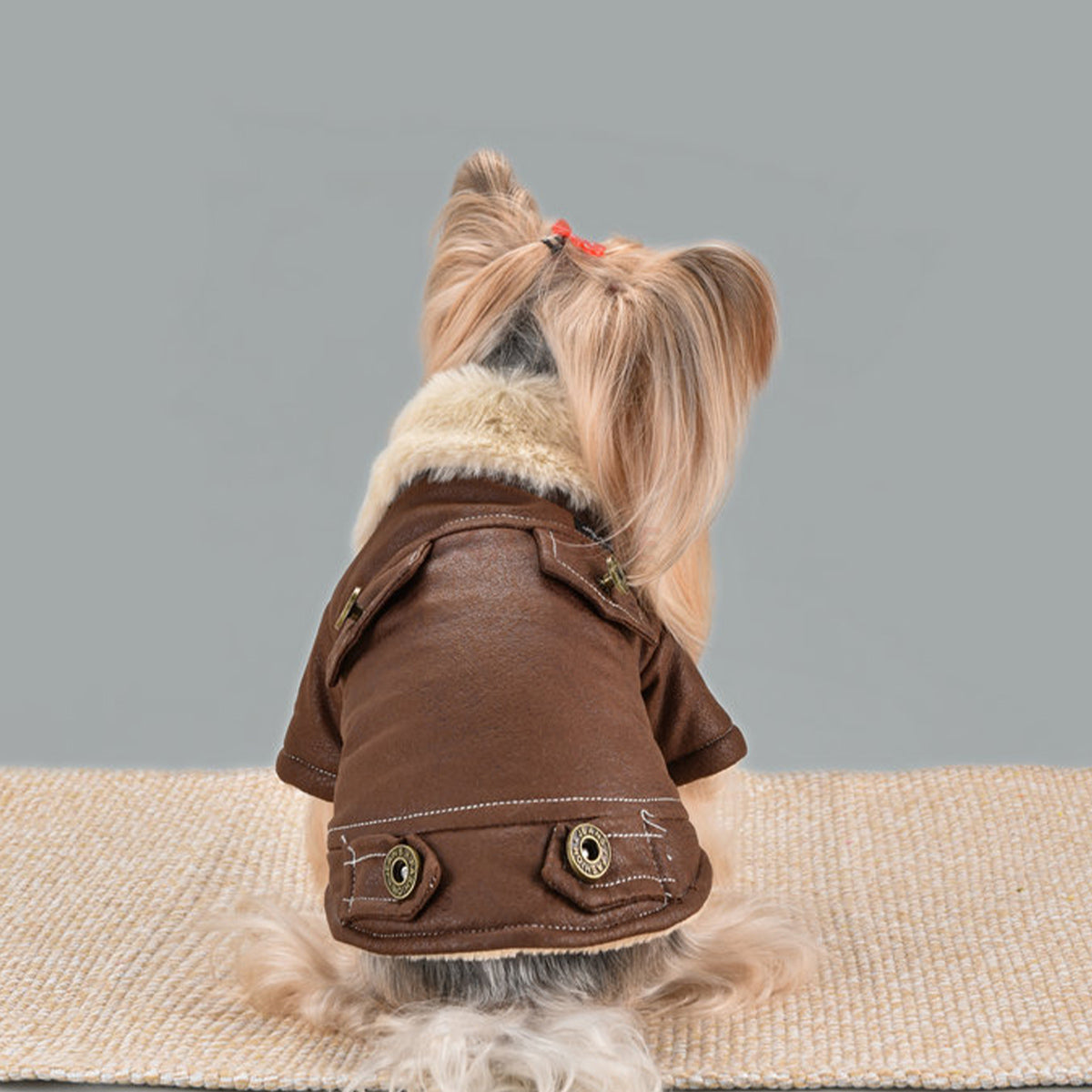Winter Vintage Suede Dog Jacket
