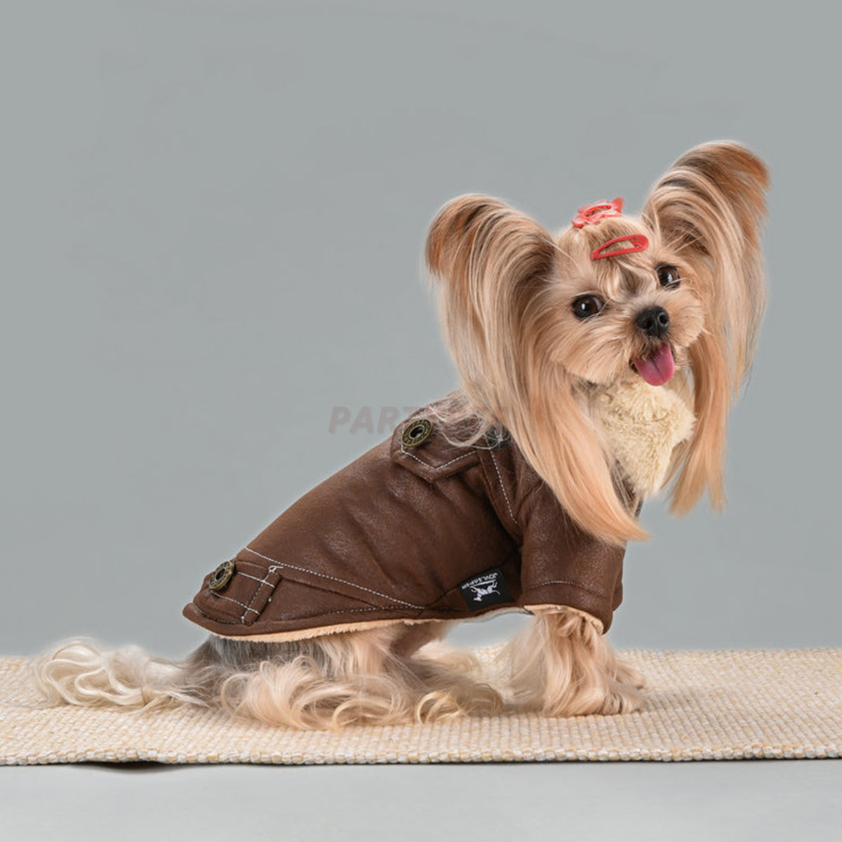 Winter Vintage Suede Dog Jacket