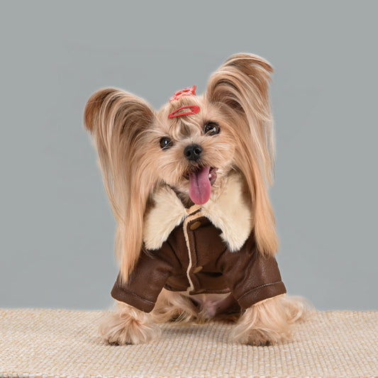 Winter Vintage Suede Dog Jacket