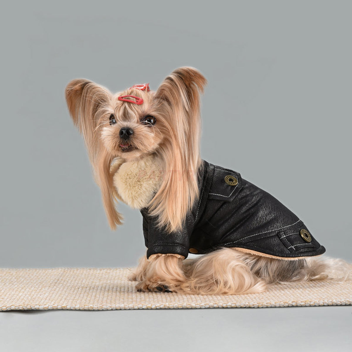 Winter Vintage Suede Dog Jacket
