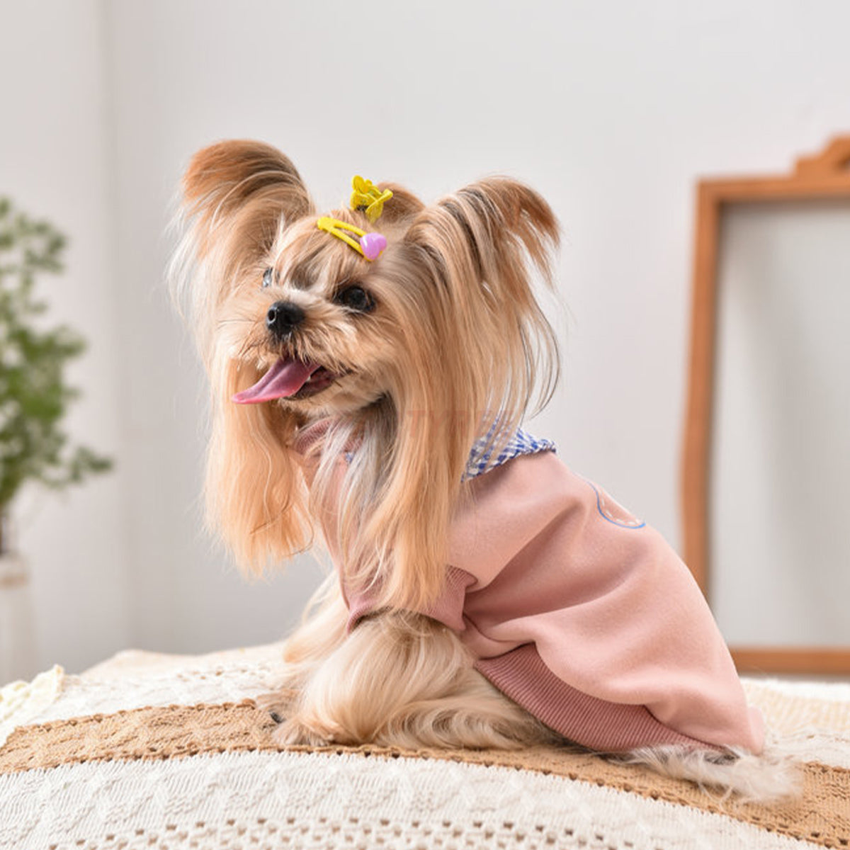 Printed Dog Fashion Coat