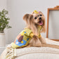 Printed Dog Fashion Coat