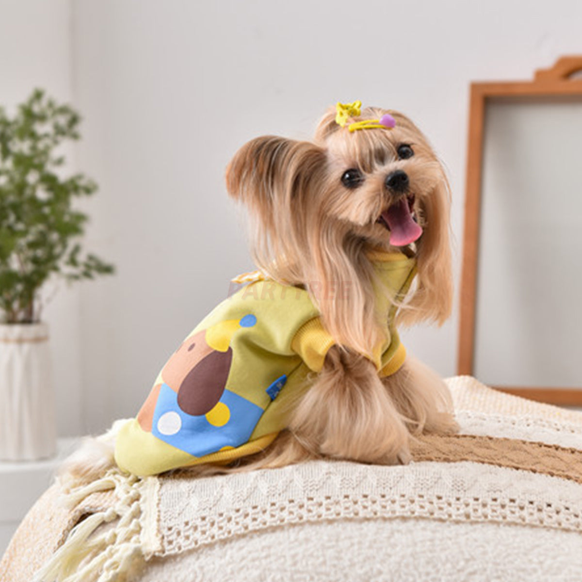 Printed Dog Fashion Coat
