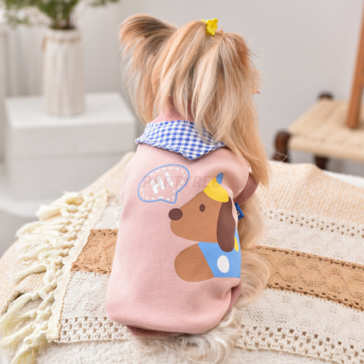 Printed Dog Fashion Coat