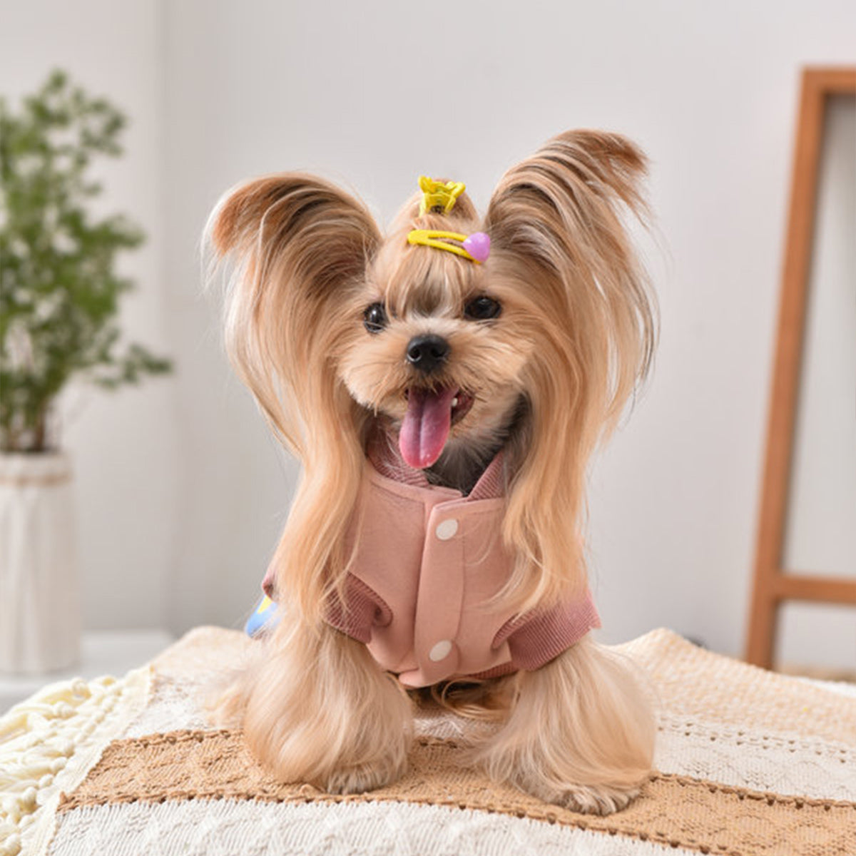 Printed Dog Fashion Coat