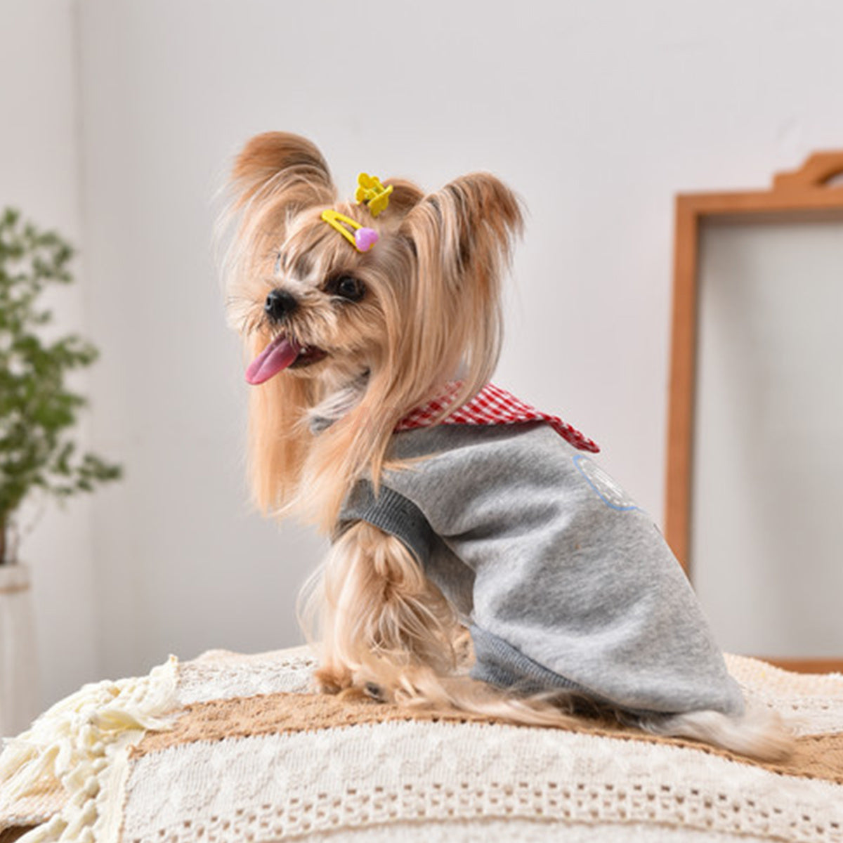 Printed Dog Fashion Coat