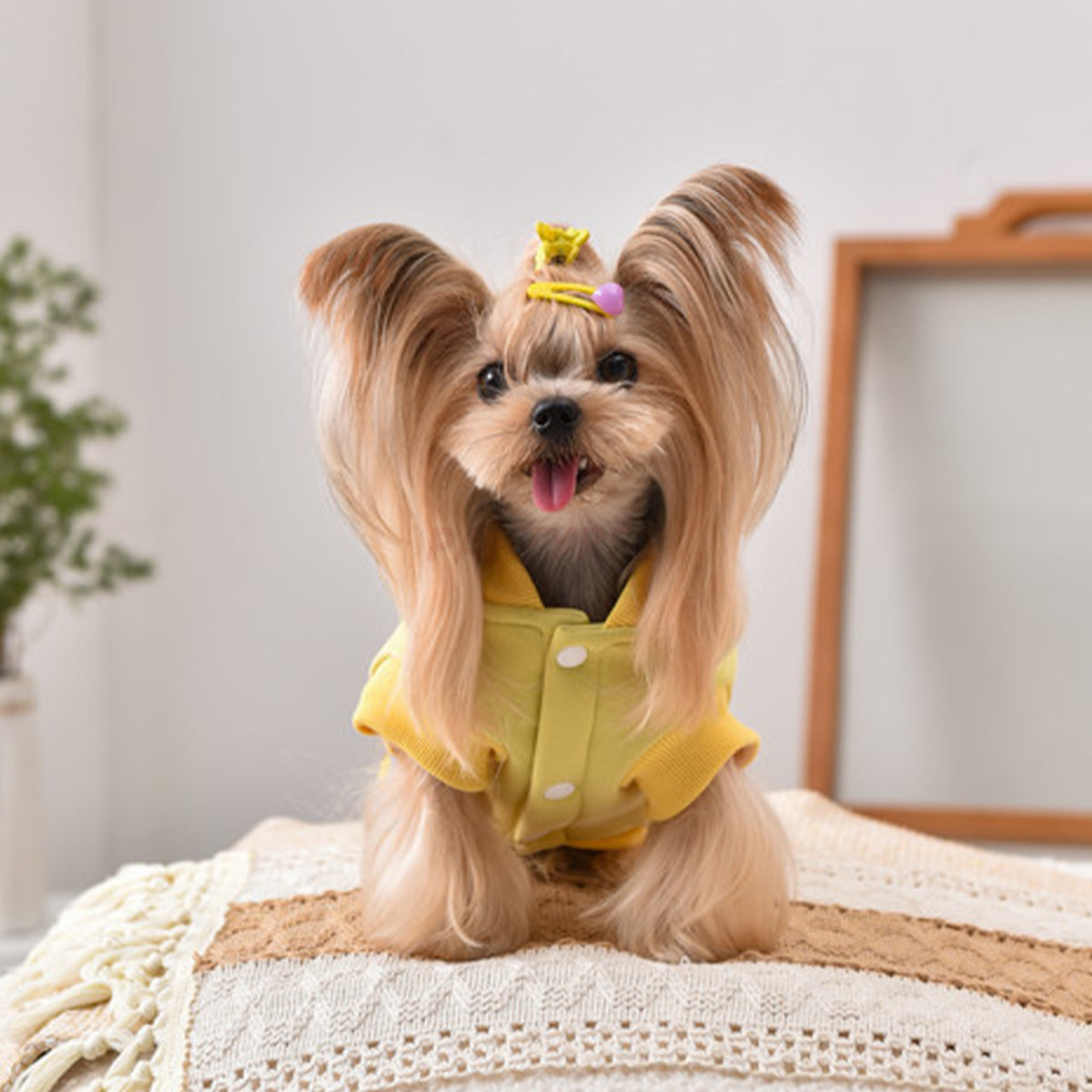 Printed Dog Fashion Coat