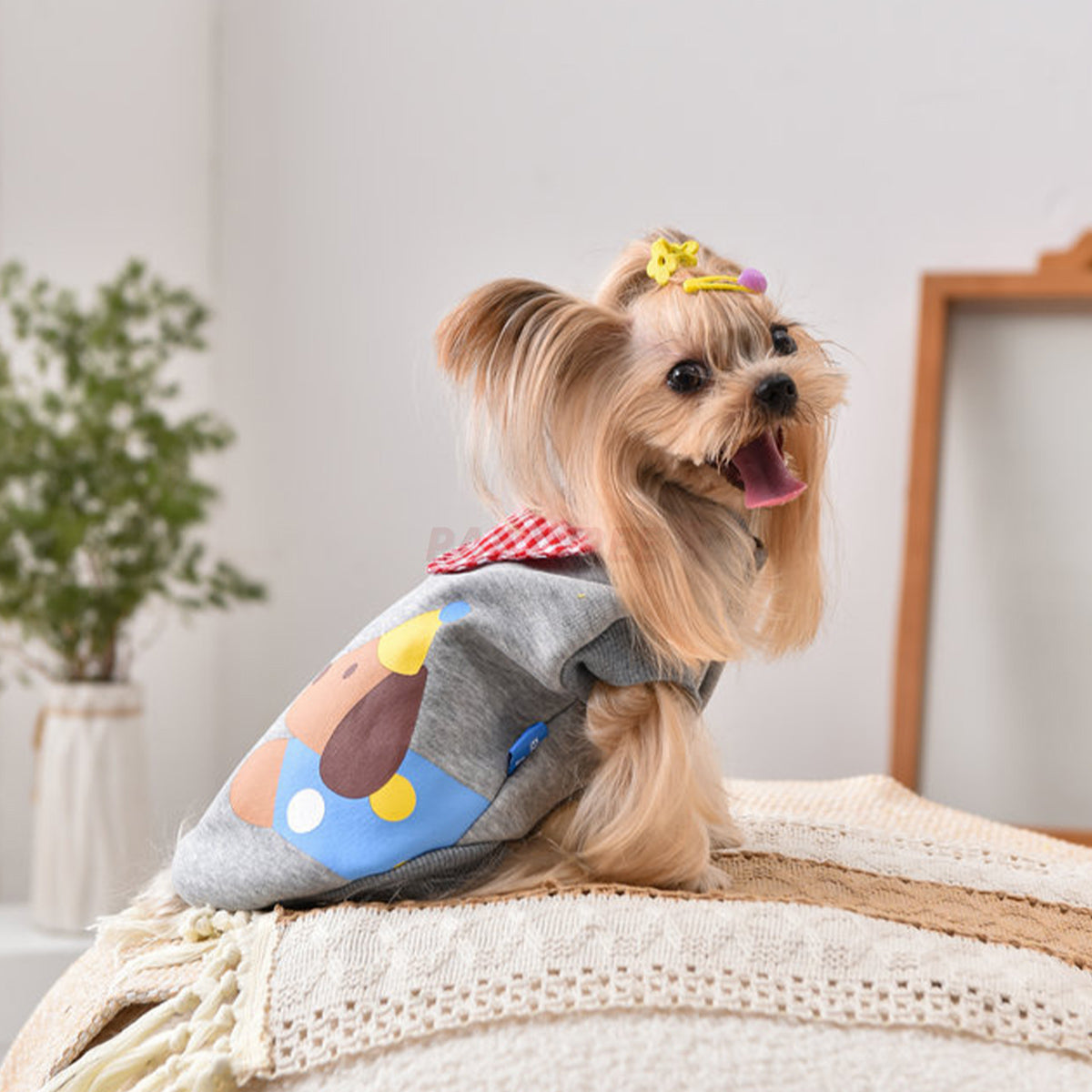 Printed Dog Fashion Coat