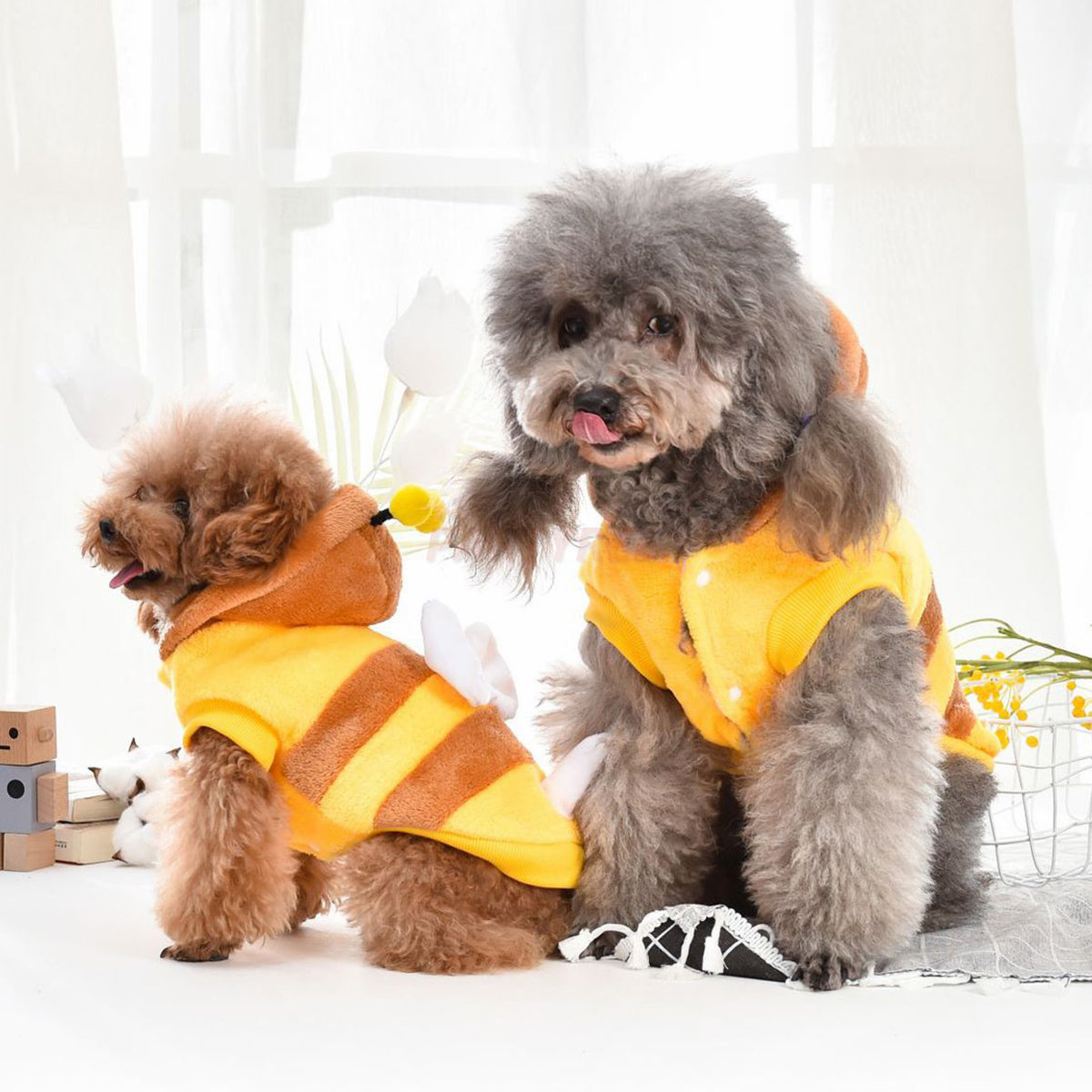 Cartoon Dog Clothes Little Bee Shaped