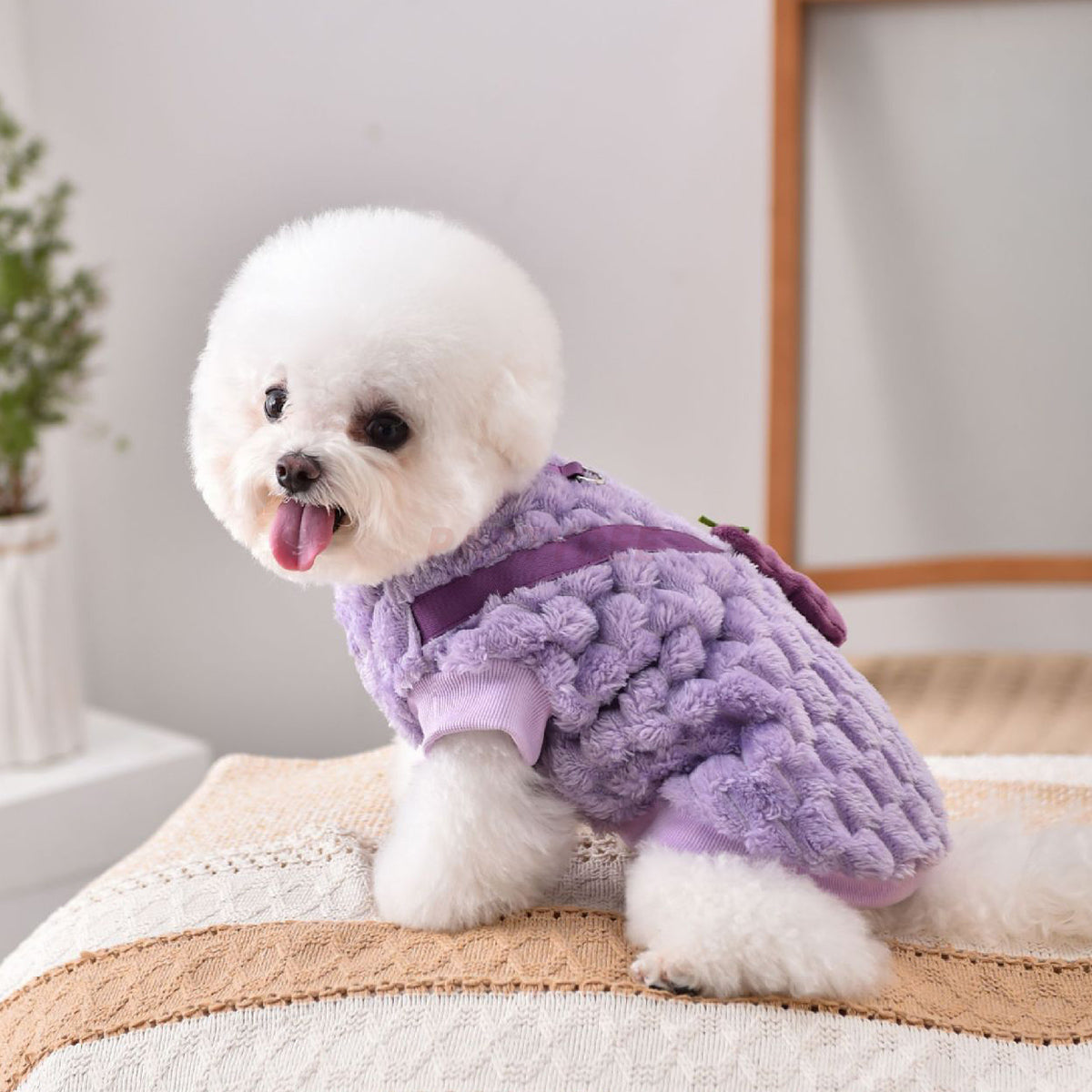 Dog Clothes Purple Eggplant Shaped