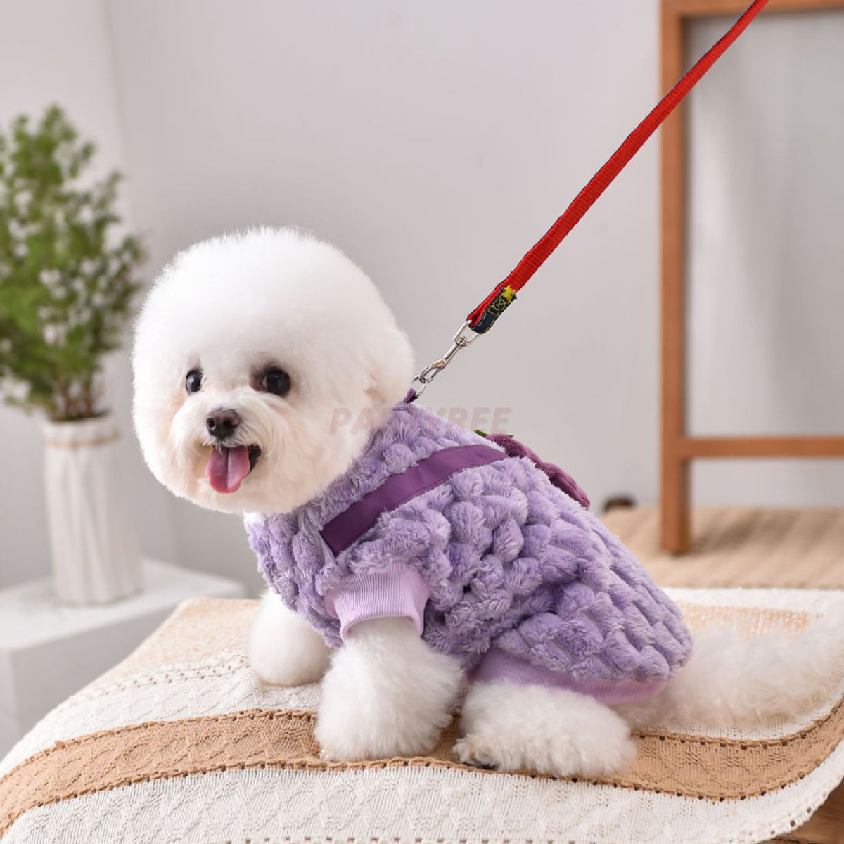 Dog Clothes Purple Eggplant Shaped