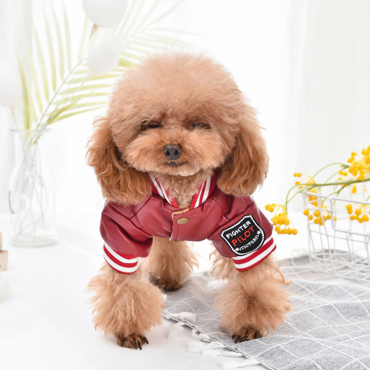 Warm Dog Clothes Dog Jacket