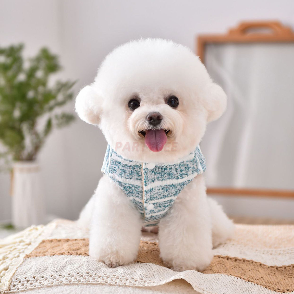 Hooded Striped Knit Dog Coat