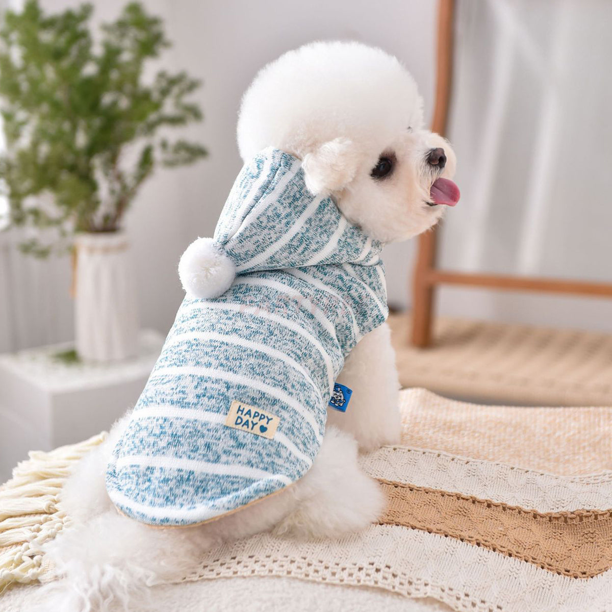 Hooded Striped Knit Dog Coat