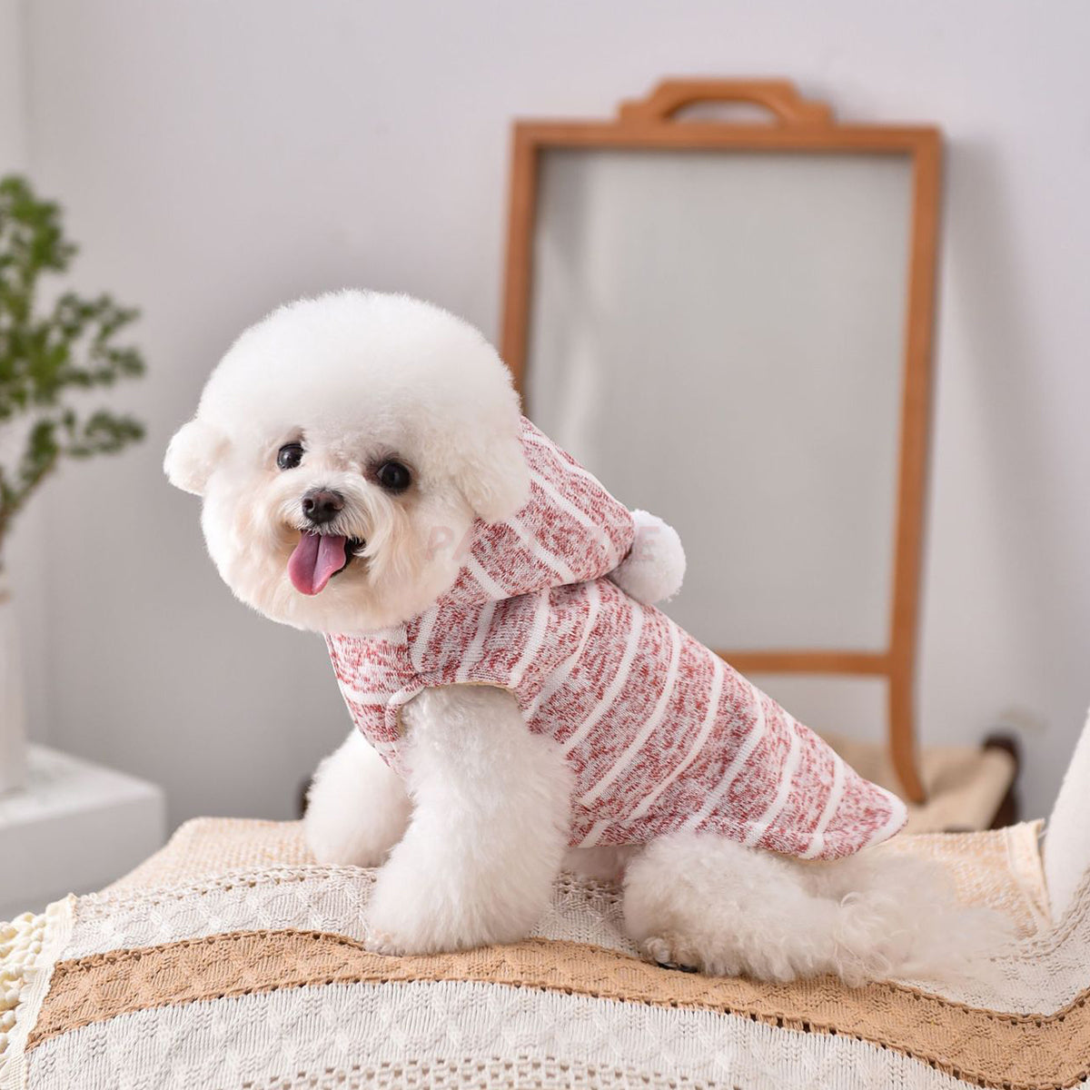 Hooded Striped Knit Dog Coat