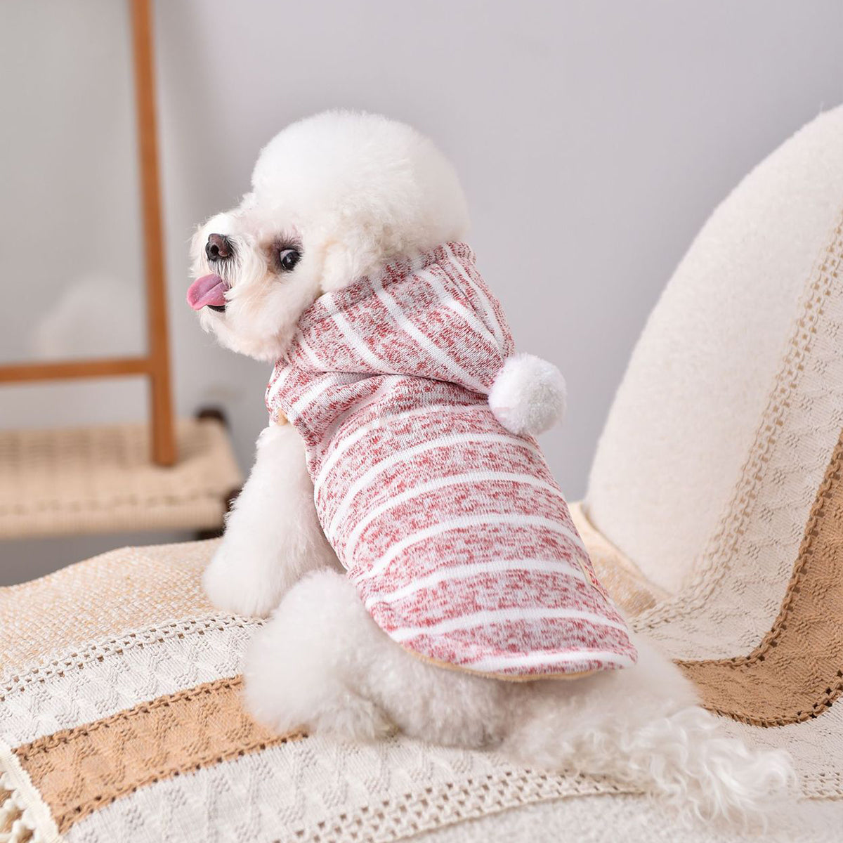 Hooded Striped Knit Dog Coat