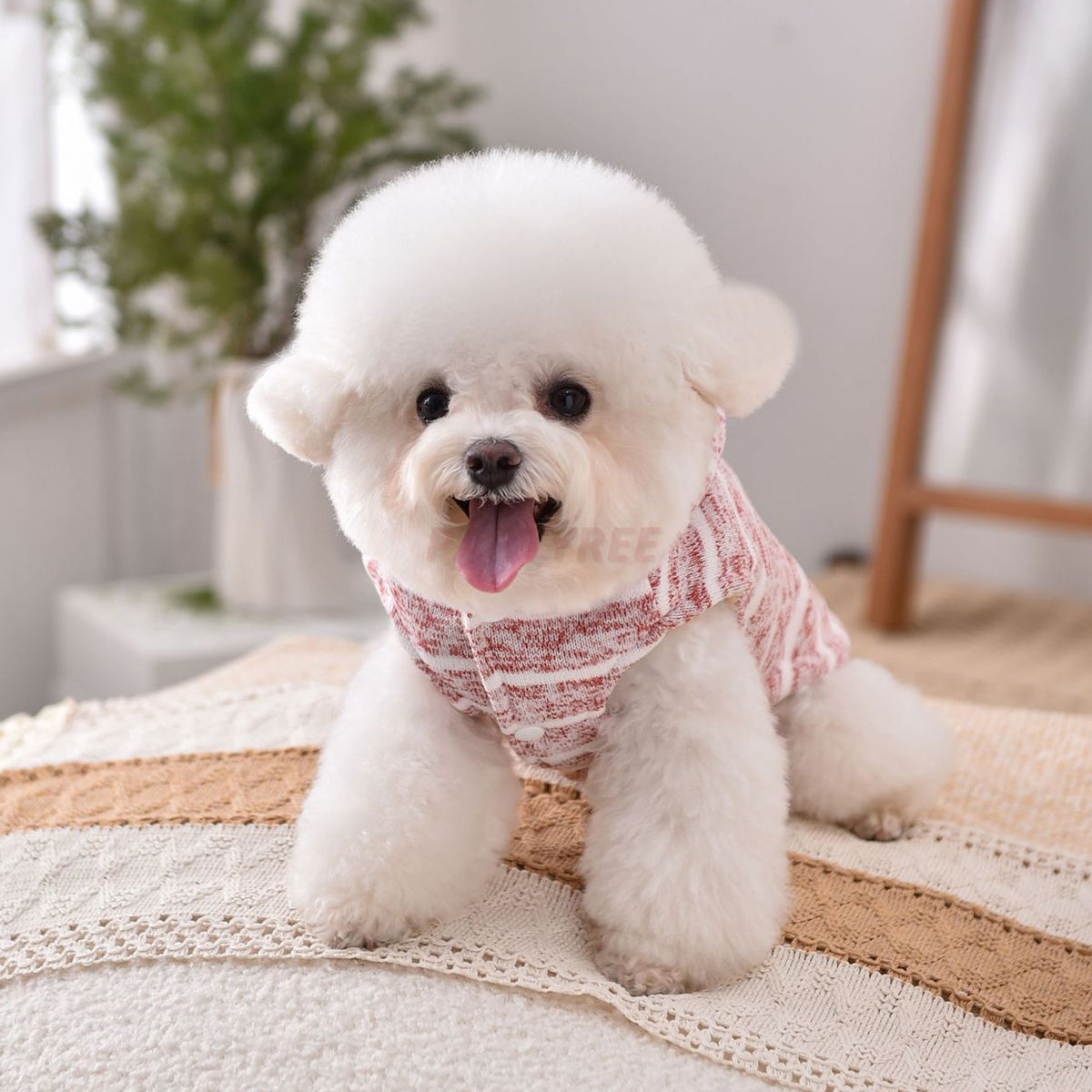 Hooded Striped Knit Dog Coat