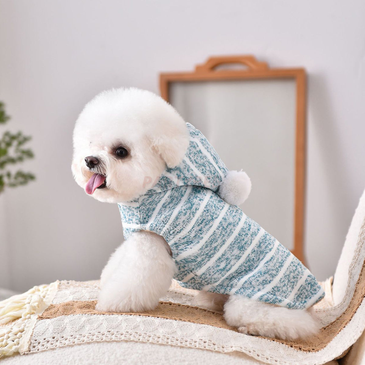 Hooded Striped Knit Dog Coat