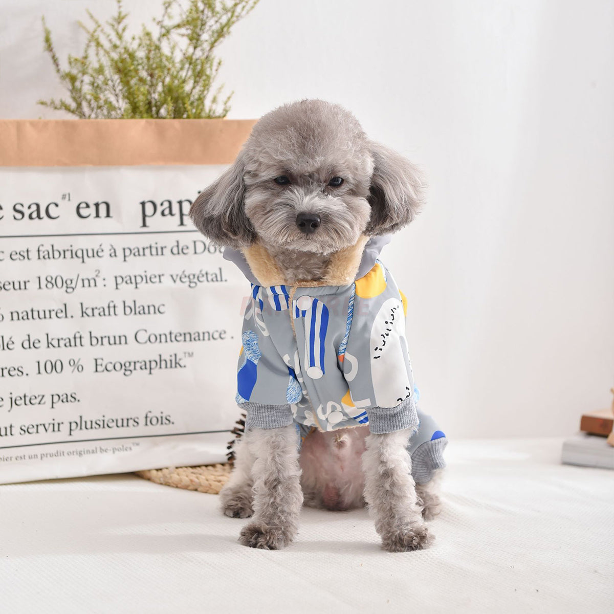 Outdoor Windproof Dog Coat