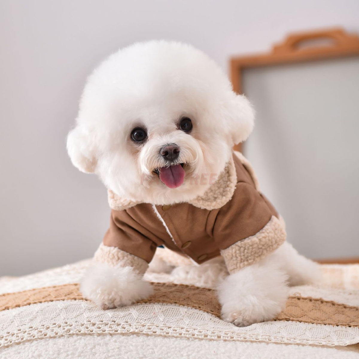 Thick Warm Winter Dog Apparel Leather Jacket
