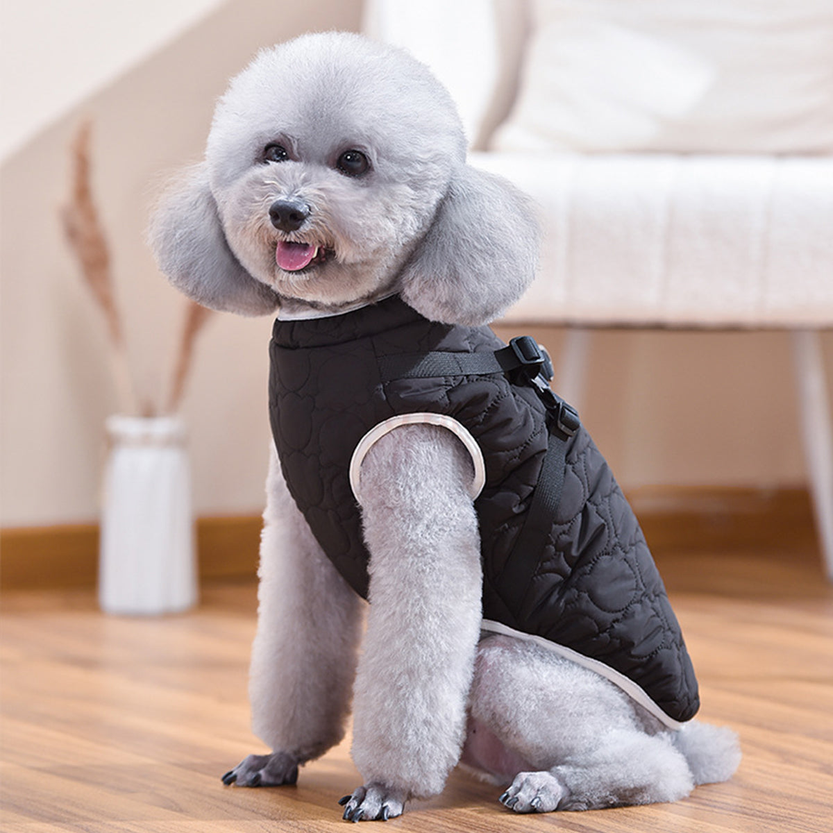 Warm Dog Winter Coat Windproof Dog Apparel