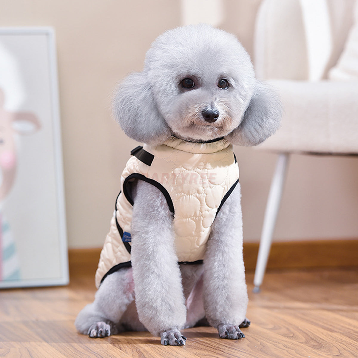 Warm Dog Winter Coat Windproof Dog Apparel