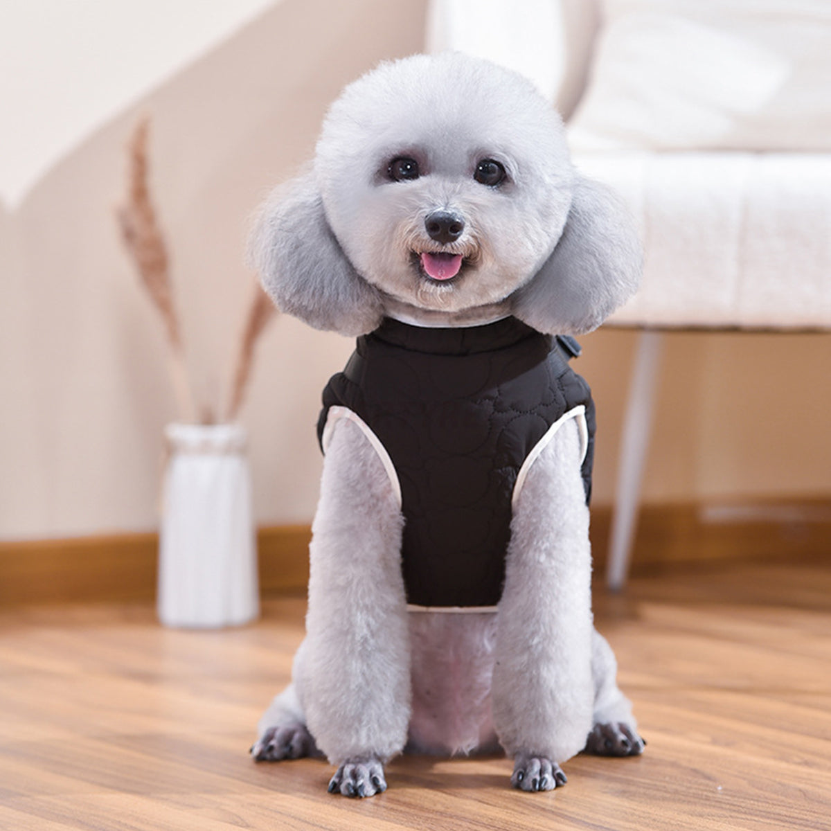 Warm Dog Winter Coat Windproof Dog Apparel