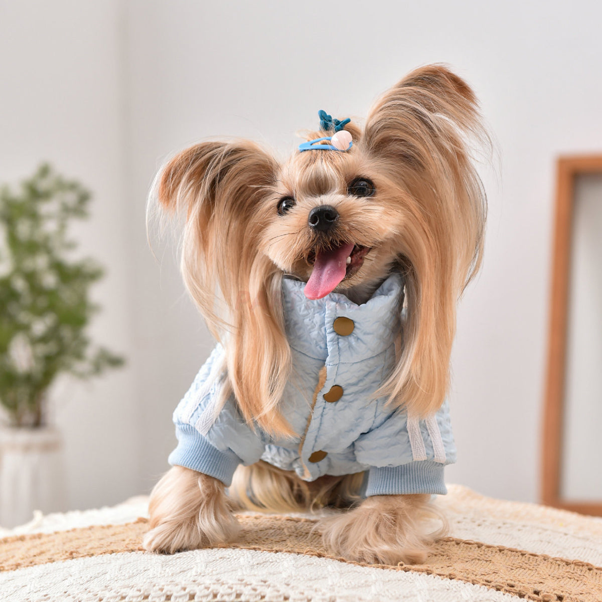 Dog Jacket Windproof Warm Pet Clothing