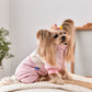 Dog Jacket Windproof Warm Pet Clothing