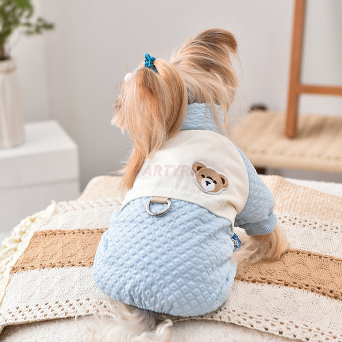 Dog Jacket Windproof Warm Pet Clothing
