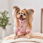 Dog Jacket Windproof Warm Pet Clothing