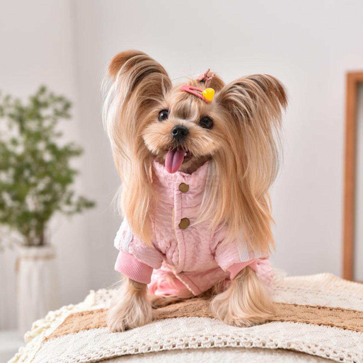 Dog Jacket Windproof Warm Pet Clothing