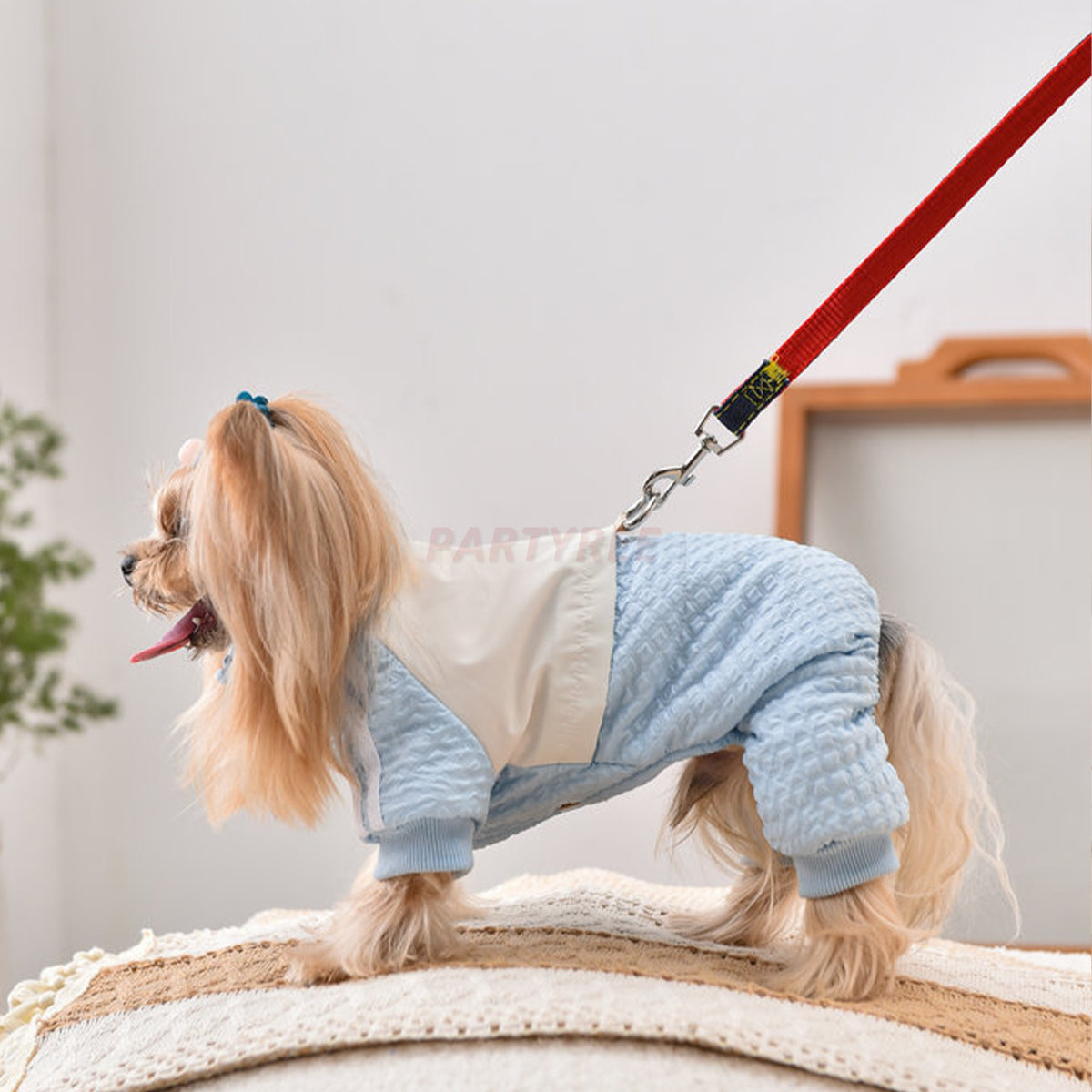 Dog Jacket Windproof Warm Pet Clothing