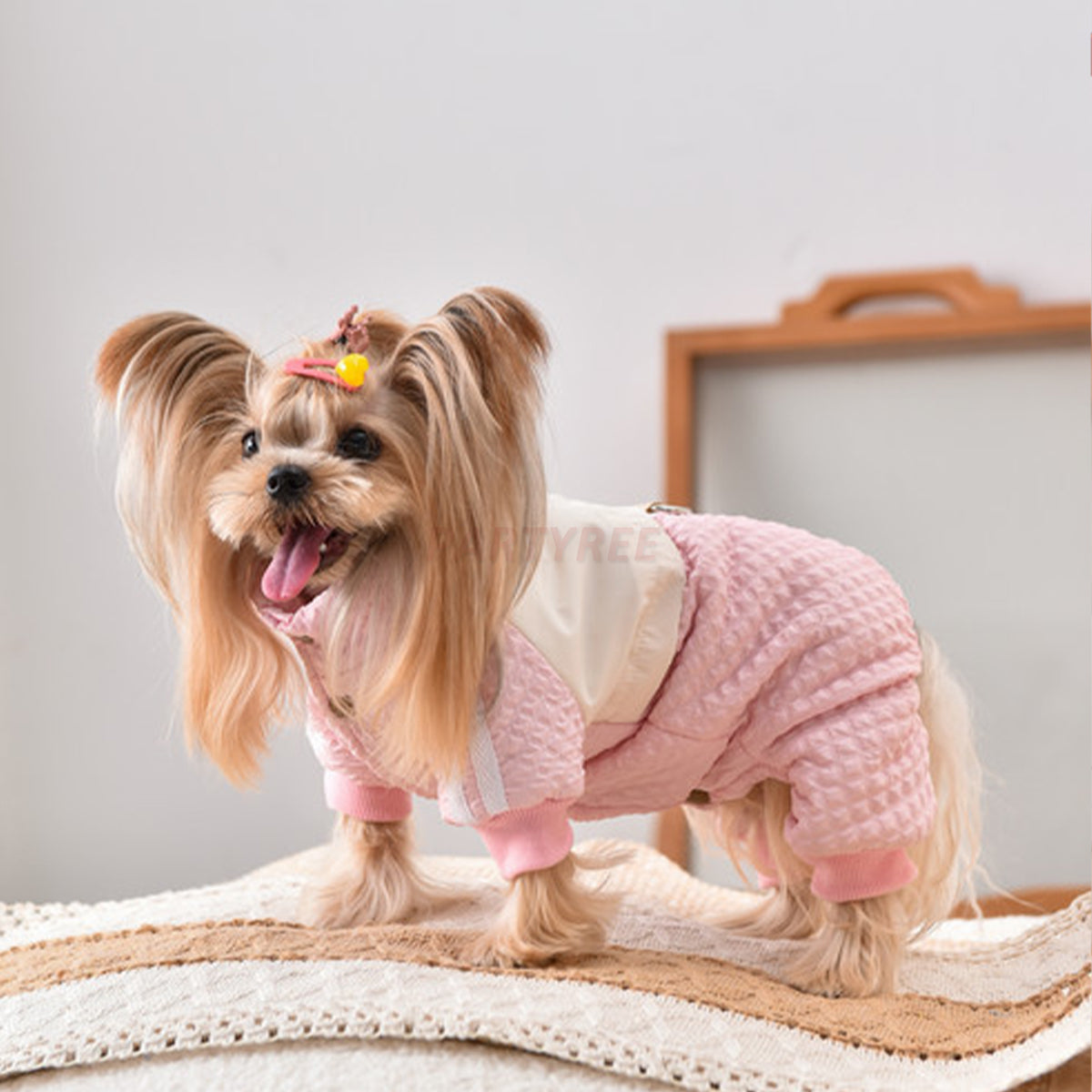 Dog Jacket Windproof Warm Pet Clothing