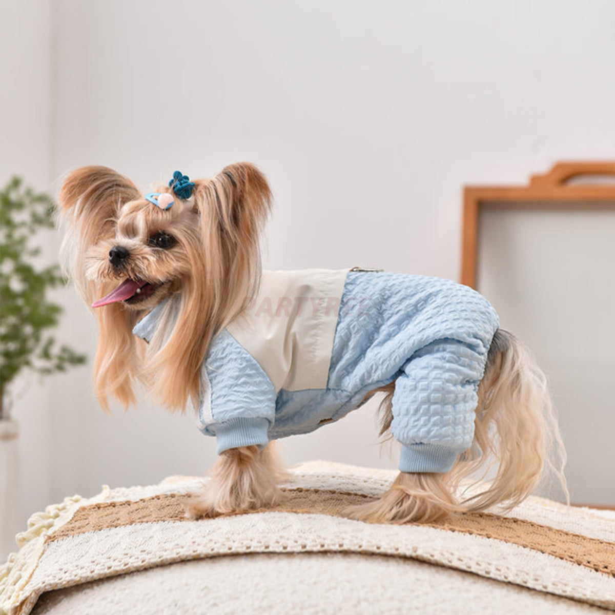 Dog Jacket Windproof Warm Pet Clothing