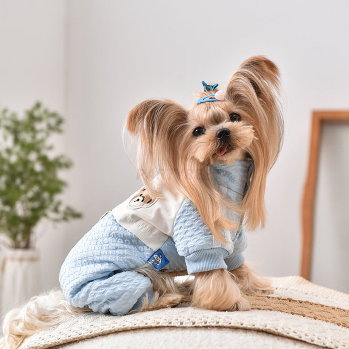 Dog Jacket Windproof Warm Pet Clothing