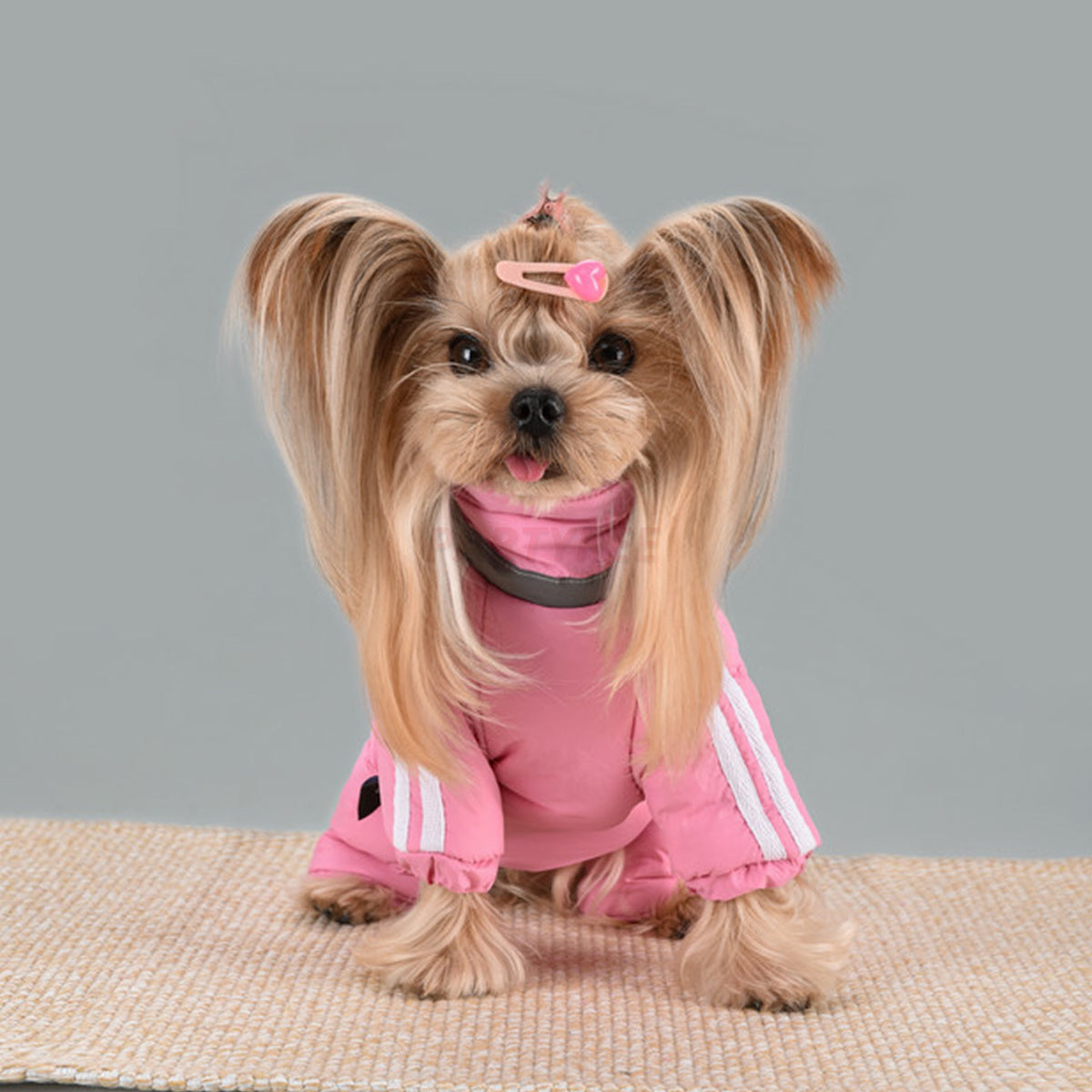 Turtleneck Dog Coat Thick Warm Winter Dog Apparel