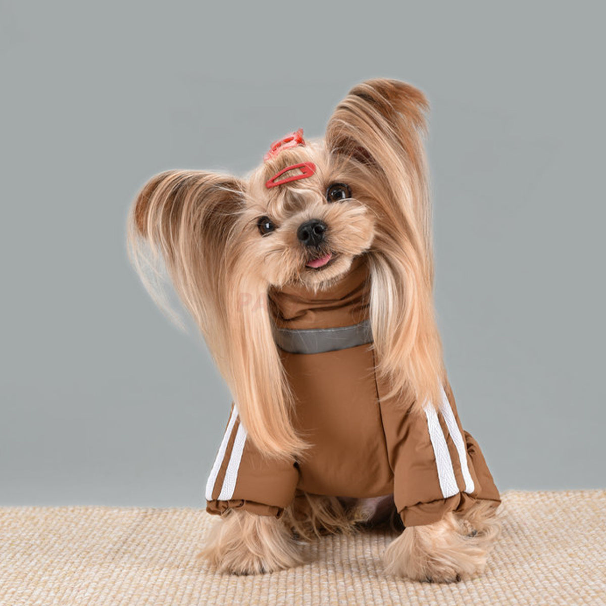 Turtleneck Dog Coat Thick Warm Winter Dog Apparel