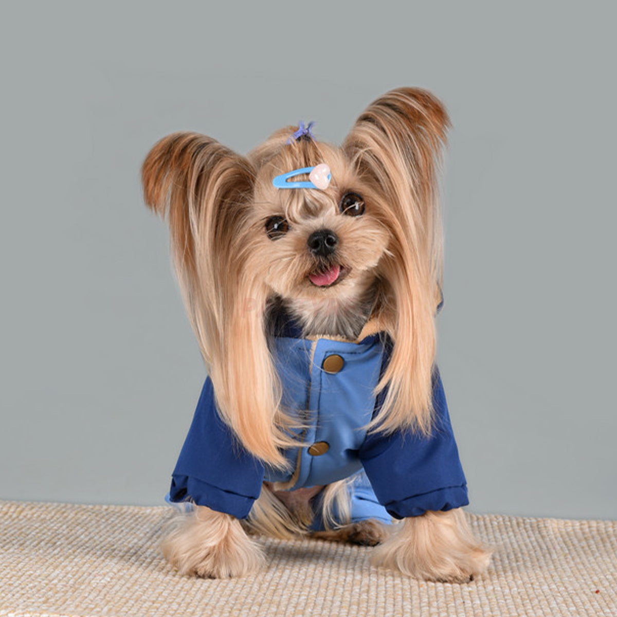 Leashable Dog Hooded Jacket Windproof Pet Apparel