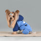 Leashable Dog Hooded Jacket Windproof Pet Apparel