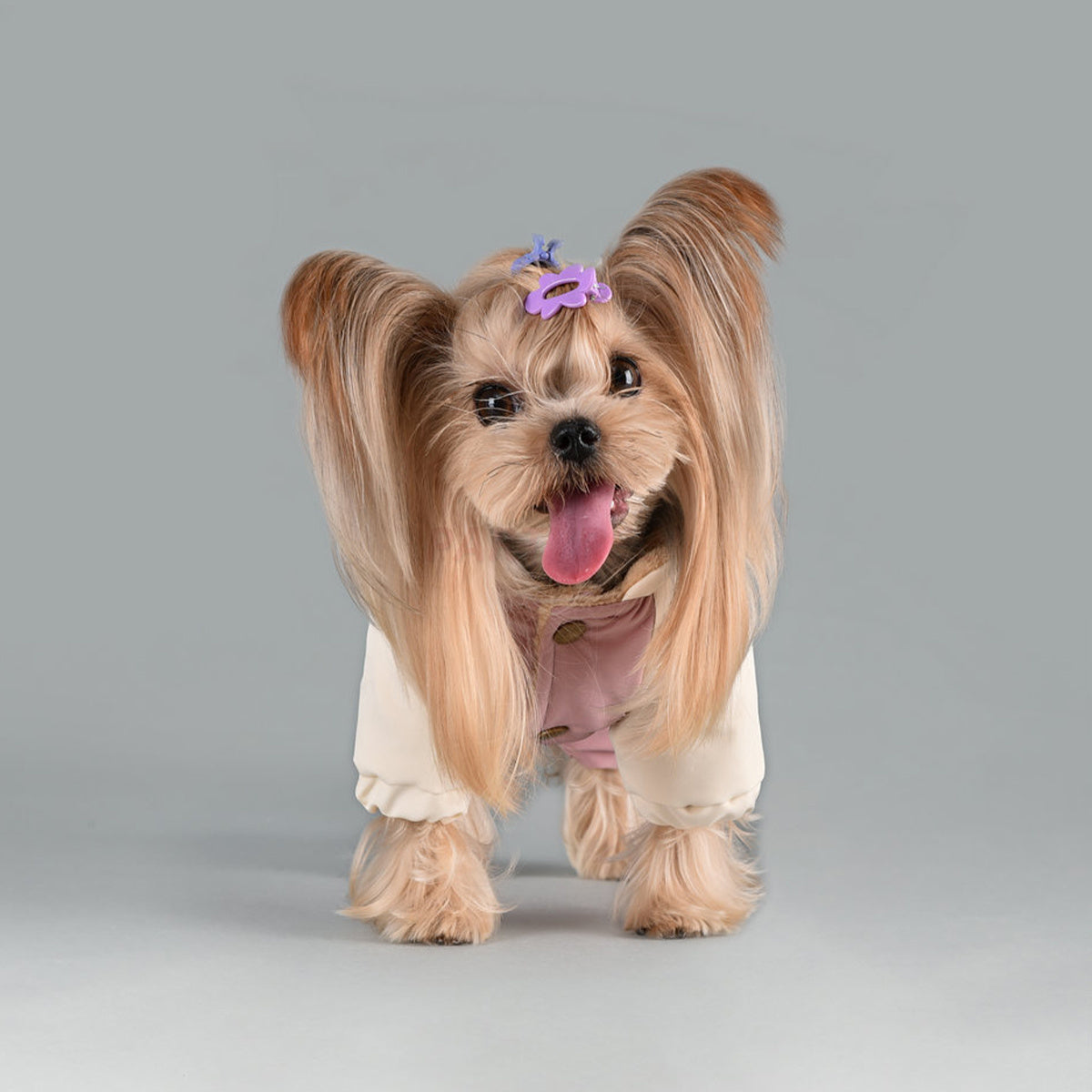 Leashable Dog Hooded Jacket Windproof Pet Apparel