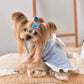 Elegant Dog Bow Outfit Stylish Clothes For Female Dogs