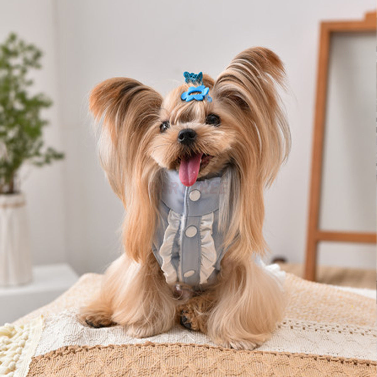 Elegant Dog Bow Outfit Stylish Clothes For Female Dogs