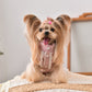 Elegant Dog Bow Outfit Stylish Clothes For Female Dogs