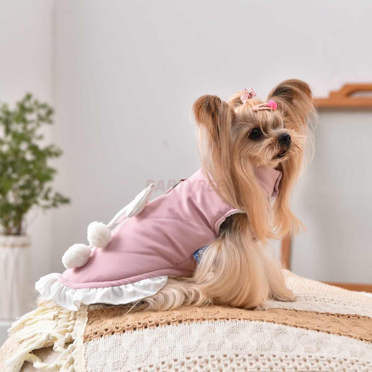 Elegant Dog Bow Outfit Stylish Clothes For Female Dogs