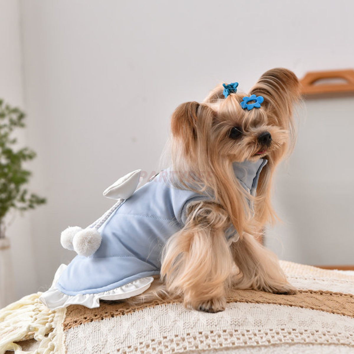 Elegant Dog Bow Outfit Stylish Clothes For Female Dogs